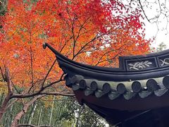 -秋霞圃