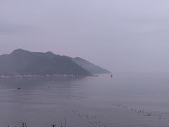 -北岐滩涂