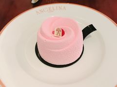 -Angelina(老佛爷店)