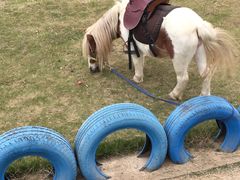 -武汉紫薇都市田园