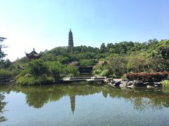 -顺峰山公园