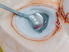 -墨脱石锅椰子鸡•香草鸭•东山羊(大东海店)