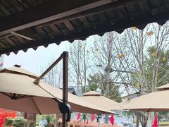 -后湖小院·乡野田园菜