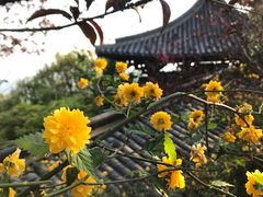 -杭州半山国家森林公园