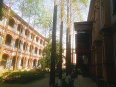 -华东政法大学(松江校区)