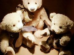 -济州岛泰迪熊博物馆