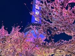 -东方明珠·可口可乐欢乐餐厅