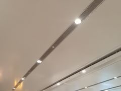 -麦当劳(北京大兴机场二层国内到达(安检外)店)