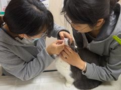 -安安宠医·臻爱宠物医院·宠保定点(营门口路分院)