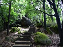 -火炉山森林公园