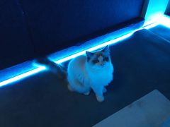 -零纪元VR体验馆·桌游(黄浦店)