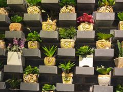 -云尊府云南菜·蒸汽石锅鱼(学清路店)