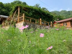 -大岭沟猕猴桃谷风景区