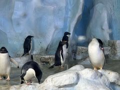 -珠海长隆海洋王国