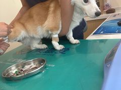 -美迦爱-牙专科·兔科·骨科诊疗中心(北苑店)