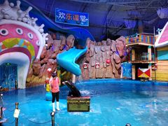 -烟台海昌鲸鲨海洋公园