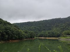 -桃花岭景区