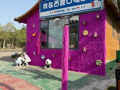 -西霞口神雕山野生动物世界