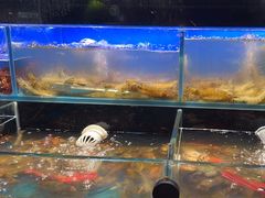 -苏格里岛自助海鲜烤肉火锅(集美万达店)