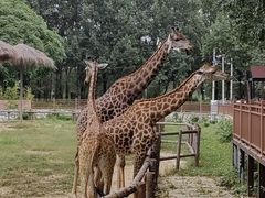 -北京野生动物园