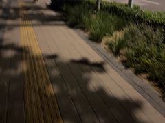 -箭心弓社射箭俱乐部(上地店)