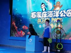 -石家庄海洋公园
