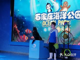 超治愈的海洋公园时候周末约盆友带小朋友去 水母超可爱
