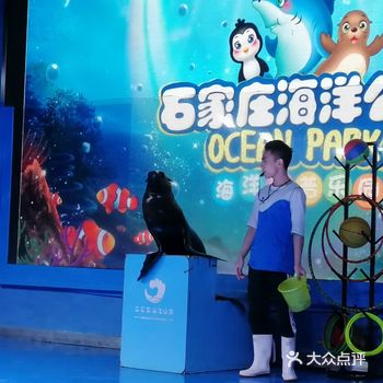 超治愈的海洋公园时候周末约盆友带小朋友去 水母超可爱
