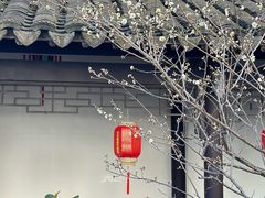 -南京市民俗博物馆(甘熙故居)