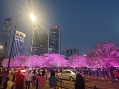 -西北湖绿化广场