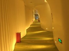 -深圳东部华侨城瀑布酒店