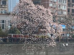 -红星桥(地铁站)
