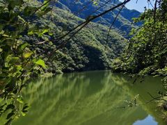-皇家御河游(紫御湾码头)