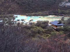 -黄龙山原始森林景区