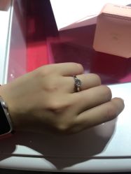 -Zbird钻石小鸟·钻戒婚戒定制高端珠宝私人定制中心