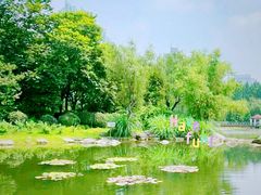-新虹桥中心花园