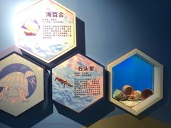 -海合安武汉极地海洋公园