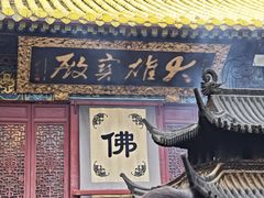 -普陀山慧济禅寺