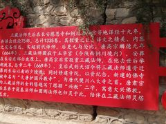 -兴教寺