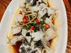 -顺德了能馆(虎门店)