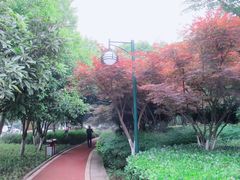 -月湖风景区