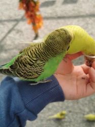 -萌宠亲子动物乐园(槐房万达店)