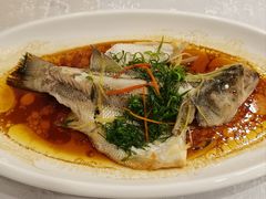 特价清蒸鲈鱼-银河酒家(天河店)