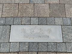 -羊山湖公园