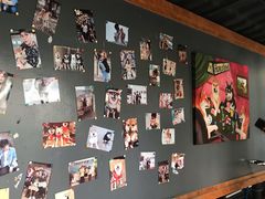 -柴犬高等学院·狗咖·柴犬售卖·宠物训练