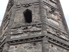 -上海佘山国家森林公园天马山园