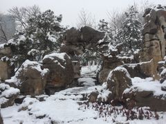 -西海子公园
