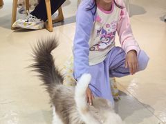 -藏猫猫咖啡主题馆(中央大道店)