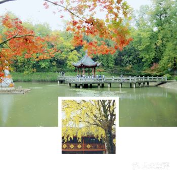 南京两日游必打卡3景点攻略
