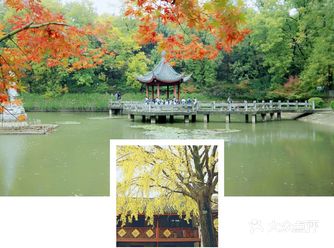 南京两日游必打卡3景点攻略